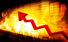 欧洲央行管委Holzmann：所有债券购买计划可能最早在明年9月结束